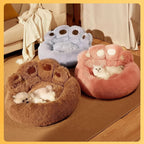 Three plush pet beds in different colors with a small white dog inside, on a wooden floor.