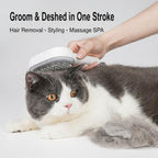 Person grooming a cat with a pet grooming brush on a light gray background